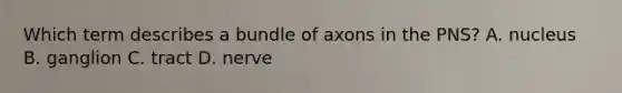 Which term describes a bundle of axons in the PNS? A. nucleus B. ganglion C. tract D. nerve