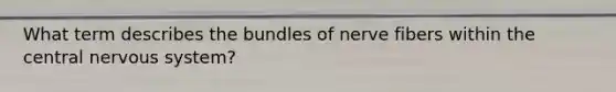 What term describes the bundles of nerve fibers within the central nervous system?