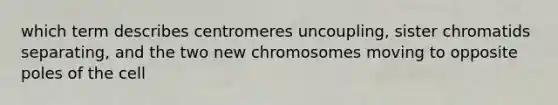 which term describes centromeres uncoupling, sister chromatids separating, and the two new chromosomes moving to opposite poles of the cell