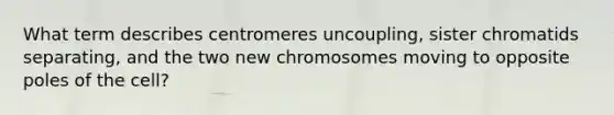 What term describes centromeres uncoupling, sister chromatids separating, and the two new chromosomes moving to opposite poles of the cell?