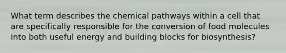 What term describes the chemical pathways within a cell that are specifically responsible for the conversion of food molecules into both useful energy and building blocks for biosynthesis?