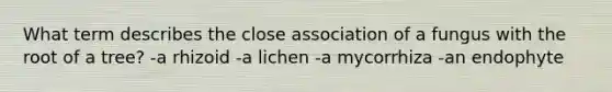 What term describes the close association of a fungus with the root of a tree? -a rhizoid -a lichen -a mycorrhiza -an endophyte