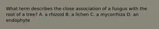 What term describes the close association of a fungus with the root of a tree? A. a rhizoid B. a lichen C. a mycorrhiza D. an endophyte