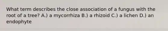 What term describes the close association of a fungus with the root of a tree? A.) a mycorrhiza B.) a rhizoid C.) a lichen D.) an endophyte