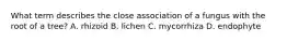 What term describes the close association of a fungus with the root of a tree? A. rhizoid B. lichen C. mycorrhiza D. endophyte