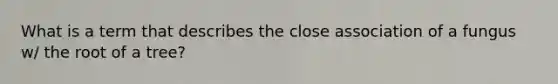 What is a term that describes the close association of a fungus w/ the root of a tree?