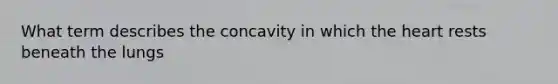 What term describes the concavity in which the heart rests beneath the lungs