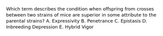 Which term describes the condition when offspring from crosses between two strains of mice are superior in some attribute to the parental strains? A. Expressivity B. Penetrance C. Epistasis D. Inbreeding Depression E. Hybrid Vigor