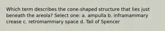 Which term describes the cone-shaped structure that lies just beneath the areola? Select one: a. ampulla b. inframammary crease c. retromammary space d. Tail of Spencer