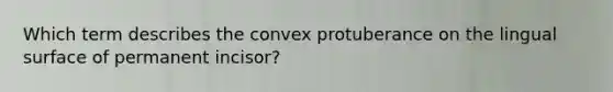 Which term describes the convex protuberance on the lingual surface of permanent incisor?