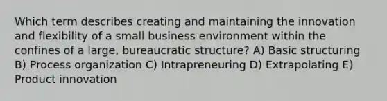 Which term describes creating and maintaining the innovation and flexibility of a small business environment within the confines of a large, bureaucratic structure? A) Basic structuring B) Process organization C) Intrapreneuring D) Extrapolating E) Product innovation