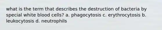 what is the term that describes the destruction of bacteria by special white blood cells? a. phagocytosis c. erythrocytosis b. leukocytosis d. neutrophils