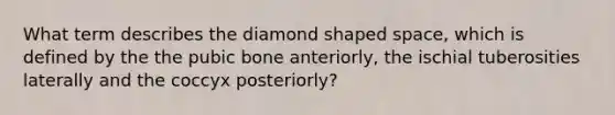 What term describes the diamond shaped space, which is defined by the the pubic bone anteriorly, the ischial tuberosities laterally and the coccyx posteriorly?