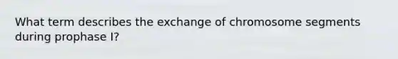 What term describes the exchange of chromosome segments during prophase I?