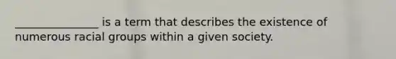 _______________ is a term that describes the existence of numerous racial groups within a given society.