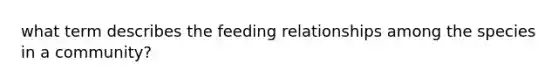 what term describes the feeding relationships among the species in a community?