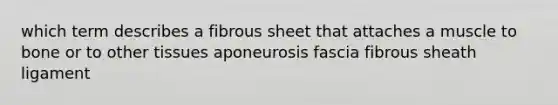 which term describes a fibrous sheet that attaches a muscle to bone or to other tissues aponeurosis fascia fibrous sheath ligament