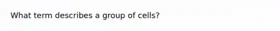 What term describes a group of cells?