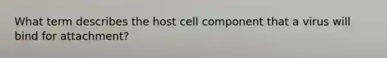 What term describes the host cell component that a virus will bind for attachment?