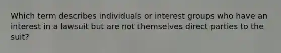 Which term describes individuals or interest groups who have an interest in a lawsuit but are not themselves direct parties to the suit?