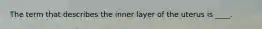 The term that describes the inner layer of the uterus is ____.