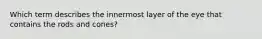 Which term describes the innermost layer of the eye that contains the rods and cones?