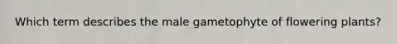 Which term describes the male gametophyte of flowering plants?
