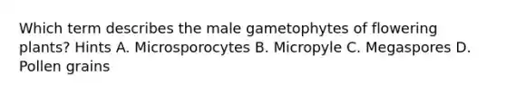 Which term describes the male gametophytes of flowering plants? Hints A. Microsporocytes B. Micropyle C. Megaspores D. Pollen grains