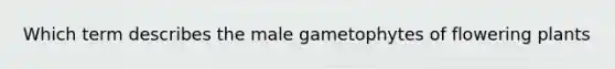 Which term describes the male gametophytes of flowering plants