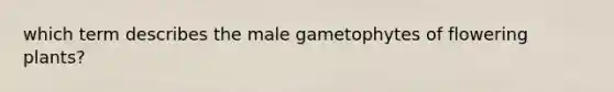 which term describes the male gametophytes of flowering plants?