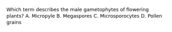 Which term describes the male gametophytes of flowering plants? A. Micropyle B. Megaspores C. Microsporocytes D. Pollen grains