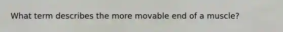 What term describes the more movable end of a muscle?