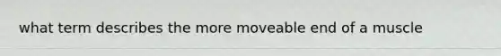 what term describes the more moveable end of a muscle