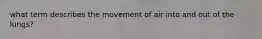 what term describes the movement of air into and out of the lungs?