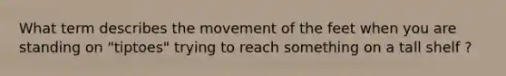 What term describes the movement of the feet when you are standing on "tiptoes" trying to reach something on a tall shelf ?