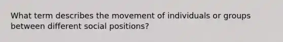 What term describes the movement of individuals or groups between different social positions?