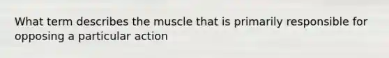 What term describes the muscle that is primarily responsible for opposing a particular action