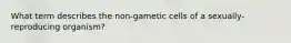 What term describes the non-gametic cells of a sexually-reproducing organism?