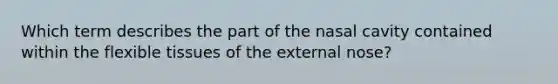 Which term describes the part of the nasal cavity contained within the flexible tissues of the external nose?