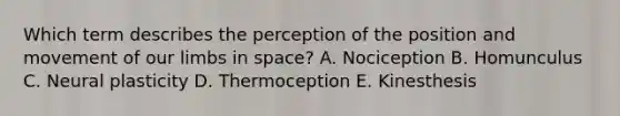 Which term describes the perception of the position and movement of our limbs in space? A. Nociception B. Homunculus C. Neural plasticity D. Thermoception E. Kinesthesis