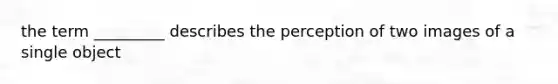 the term _________ describes the perception of two images of a single object