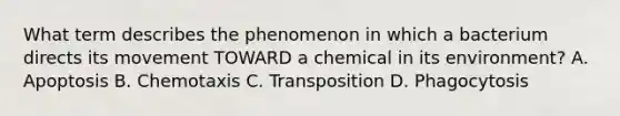 What term describes the phenomenon in which a bacterium directs its movement TOWARD a chemical in its environment? A. Apoptosis B. Chemotaxis C. Transposition D. Phagocytosis