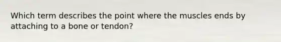 Which term describes the point where the muscles ends by attaching to a bone or tendon?