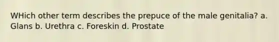 WHich other term describes the prepuce of the male genitalia? a. Glans b. Urethra c. Foreskin d. Prostate