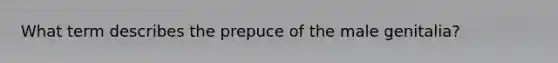 What term describes the prepuce of the male genitalia?