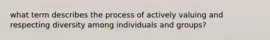 what term describes the process of actively valuing and respecting diversity among individuals and groups?