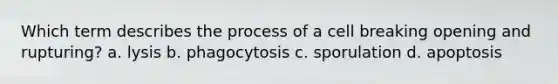 Which term describes the process of a cell breaking opening and rupturing? a. lysis b. phagocytosis c. sporulation d. apoptosis