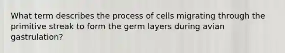 What term describes the process of cells migrating through the primitive streak to form the germ layers during avian gastrulation?