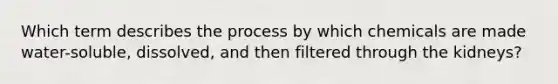 Which term describes the process by which chemicals are made water-soluble, dissolved, and then filtered through the kidneys?