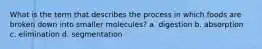 What is the term that describes the process in which foods are broken down into smaller molecules? a. digestion b. absorption c. elimination d. segmentation